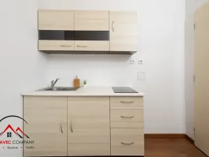 Pronájem bytu 1+1, Ostrava, Mariánskohorská, 37 m2