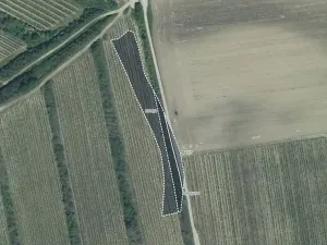 Prodej sadu/vinice, Čejkovice, 3575 m2