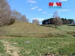 Prodej louky, Janův Důl, 2749 m2