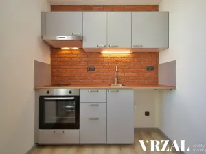 Pronájem bytu 2+kk, Plzeň, Francouzská třída, 33 m2