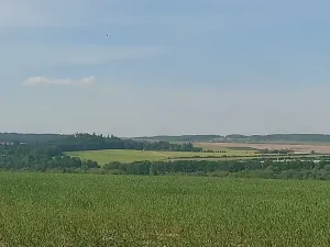 Prodej pozemku pro bydlení, Rokycany, Tymákovská, 12831 m2