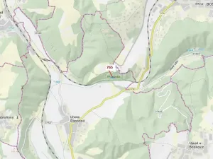 Dražba lesa, Lhota Rapotina, 1793 m2