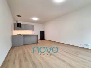Pronájem bytu 1+kk, Praha - Vysočany, Gerstelova, 41 m2