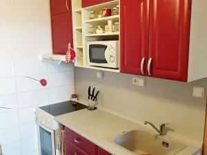 Pronájem bytu 2+1, Ostrava, Bedřicha Nikodema, 51 m2