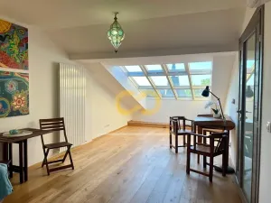 Pronájem bytu 1+kk, Praha - Nusle, Svatoslavova, 46 m2