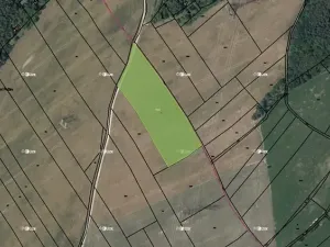 Prodej pole, Hvozdnice, 11689 m2