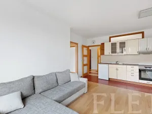 Pronájem bytu 2+kk, Praha - Kamýk, Cílkova, 41 m2