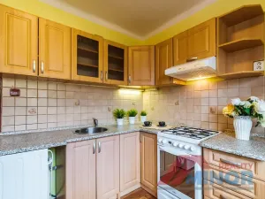 Pronájem bytu 1+1, Slaný, Rabasova, 28 m2