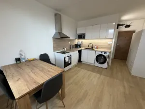 Prodej bytu 1+1, Chomutov, Čelakovského, 36 m2