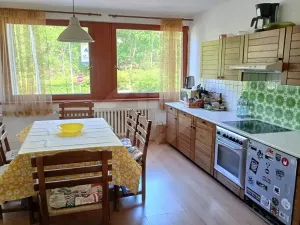 Pronájem pokoje, Praha - Smíchov, 20 m2