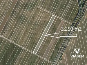 Prodej pole, Valtice, 3250 m2