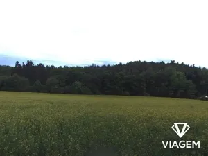 Prodej pole, Rosice, 4282 m2