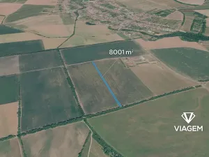 Prodej pole, Nivnice, 8001 m2