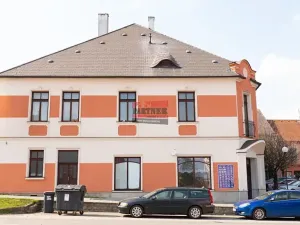 Prodej činžovního domu, Veselí nad Lužnicí, náměstí T. G. Masaryka, 262 m2