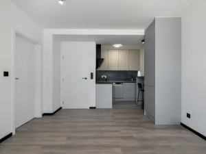 Pronájem bytu 2+kk, Havířov - Podlesí, Okrajová, 39 m2