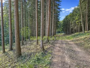 Prodej lesa, Zlín, Modřínová, 152613 m2