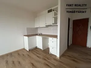 Pronájem bytu 1+kk, Chlumec, Zákoutí, 19 m2