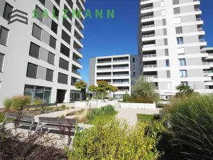 Pronájem bytu 1+kk, Plzeň, Nemocniční, 29 m2