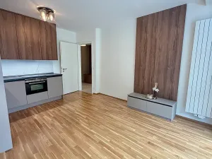 Pronájem bytu 2+kk, Praha - Smíchov, U Blaženky, 55 m2