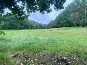 Prodej pole, Úterý - Vidžín, 11289 m2