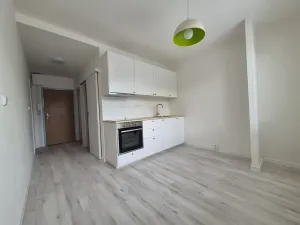 Pronájem bytu 1+1, Brno, Fleischnerova, 40 m2