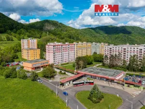 Prodej bytu 1+1, Ústí nad Labem, Peškova, 35 m2