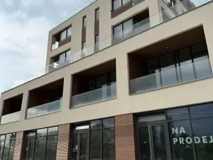Prodej bytu 2+kk, Praha - Žižkov, Malešická, 49 m2