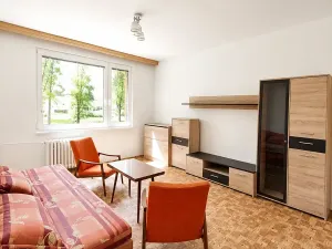 Pronájem bytu 1+1, Vamberk, Struha, 37 m2