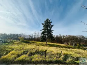 Prodej pozemku pro bydlení, Krnov, 1311 m2