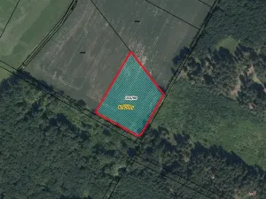 Prodej pole, Kněžičky, 5021 m2