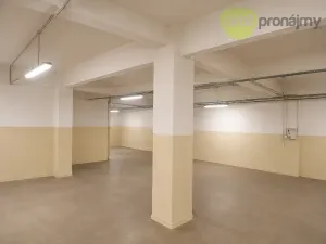 Pronájem skladu, Zlín, Šedesátá, 240 m2