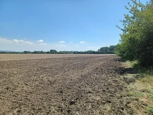 Prodej pole, Skrbeň, 2950000 m2