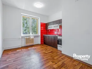 Prodej bytu 1+1, Karviná - Mizerov, tř. Těreškovové, 33 m2