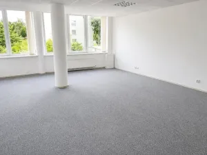 Pronájem kanceláře, Brno, Bednaříkova, 42 m2