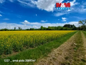 Prodej pozemku, Pňov-Předhradí, 151762 m2