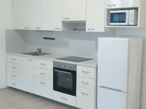 Pronájem bytu 1+kk, Praha - Karlín, Pobřežní, 41 m2