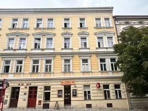 Pronájem bytu 1+1, Praha - Dejvice, Pod kaštany, 14 m2