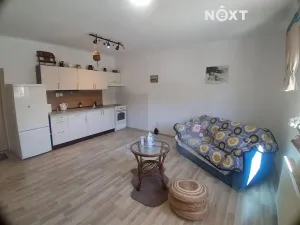 Pronájem bytu 1+kk, Ledenice, 5. května, 40 m2