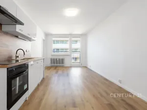 Pronájem bytu 2+kk, Most, Brněnská, 35 m2