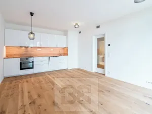 Pronájem bytu 2+kk, Praha - Radlice, U Komína, 55 m2