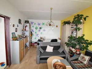 Prodej bytu 1+1, Plzeň, Žlutická, 39 m2