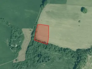 Prodej pole, Cerhonice, 6631 m2