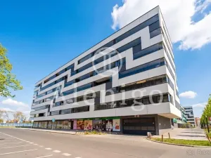 Prodej bytu 2+kk, Praha - Holešovice, U průhonu, 59 m2