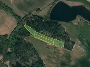 Prodej lesa, Třebíč, 14245 m2