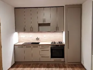 Pronájem bytu 1+1, Nový Jičín, Riegrova, 38 m2