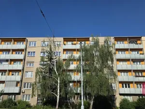 Pronájem bytu 1+1, Brno, Vídeňská, 37 m2