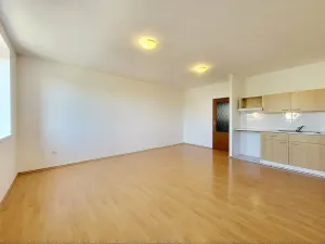Pronájem bytu 1+kk, Brno, Svitavské nábřeží, 33 m2