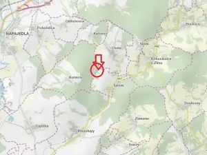 Prodej podílu lesa, Šarovy, 2437 m2