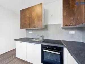 Pronájem bytu 2+1, Olomouc, Brněnská, 58 m2