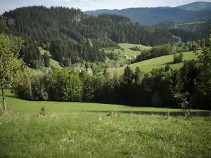 Prodej lesa, Velké Karlovice, 6375 m2